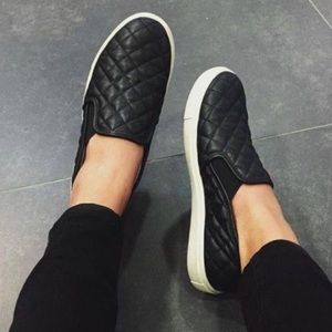 Steve Madden Ecentrcq Shoes